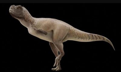 ¿Hay restos de dinosaurios en Paraguay?