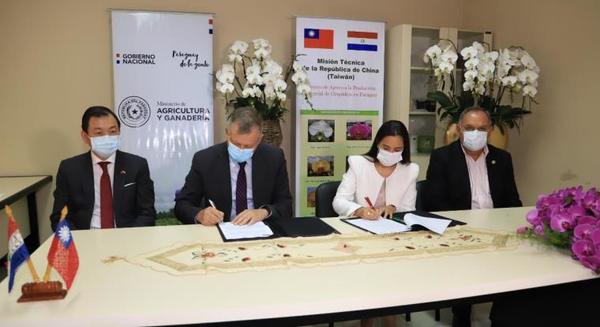 Acuerdo busca fortalecer la industria florícola y promover el cultivo en el país