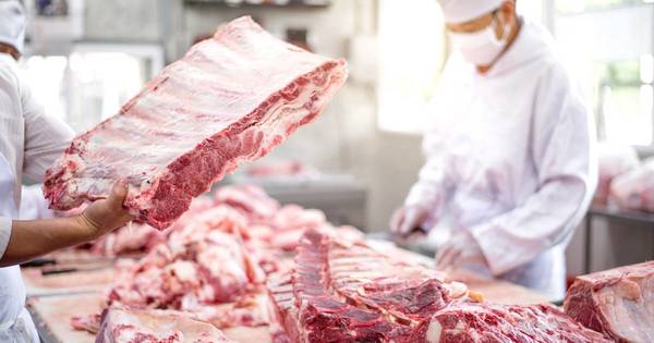 La Nación / Consumo de carne paraguaya durante fiestas patrias chilenas aumentó 30%