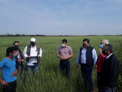 Indert no cuenta con información de actuales dueños de tierras ya entregadas · Radio Monumental 1080 AM
