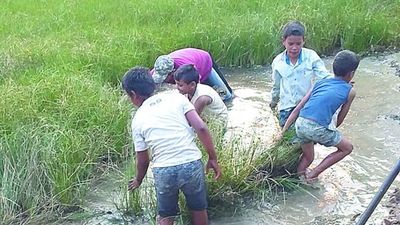 Viajan 65 kilómetros para acarrear agua