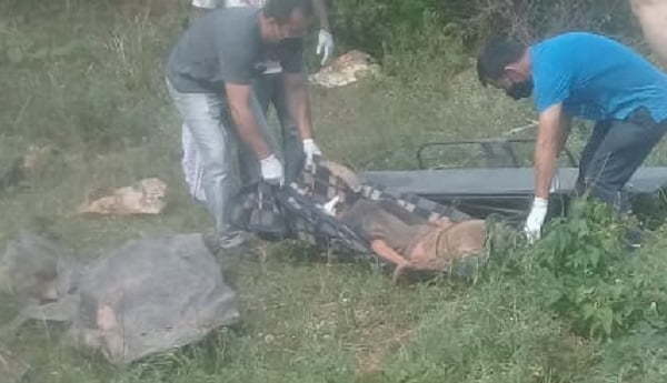 Joven se suicidó colgándose de un árbol en Coronel Oviedo - Noticiero Paraguay