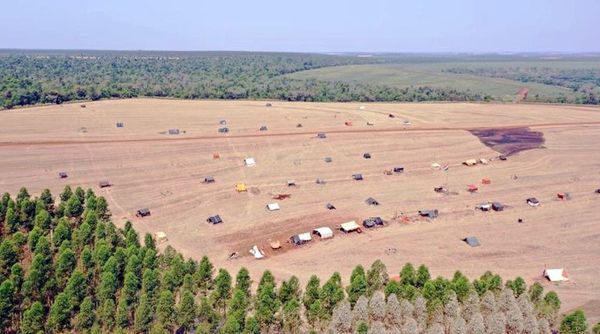 Invasiones: El huevo, la gallina y el gallinero