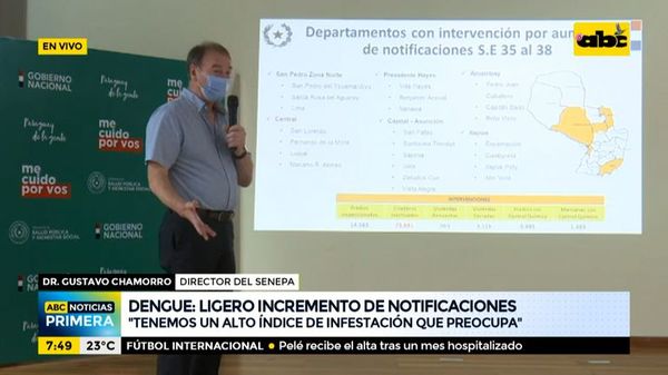 Ligero incremento de notificaciones de casos de Dengue en varias zonas del país - ABC Noticias - ABC Color