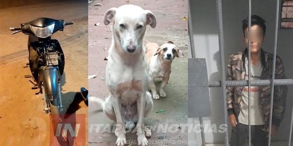 DOKI Y MIKY EVITARON EL HURTO DE UNA MOTOCICLETA.