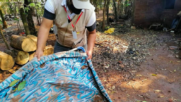 Elevado índice de infestación de dengue preocupa a Senepa