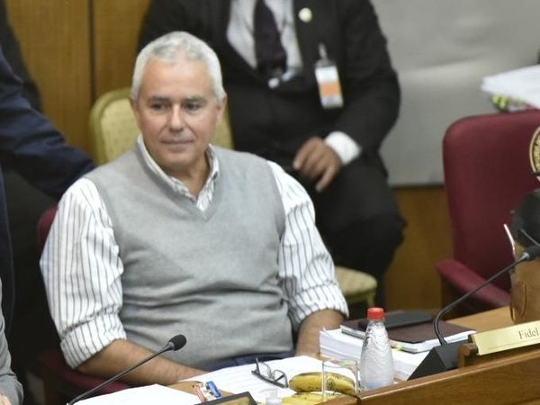 Jueza convoca el lunes a Zavala para que demuestre que solo puede pagar G. 10 millones de prestación - Nacionales - ABC Color