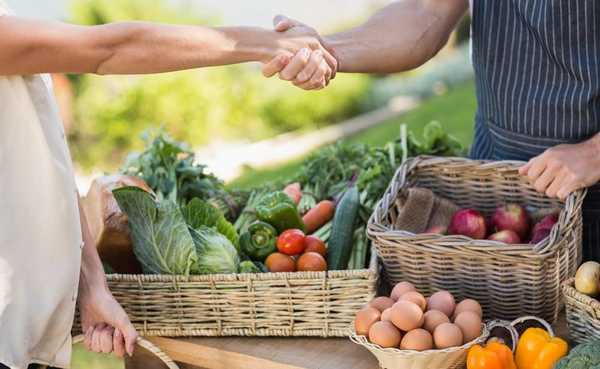 No atacar la base multiplicadora de alimentos