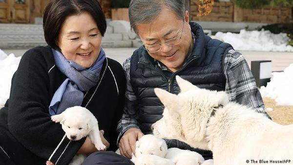 Corea del Sur: Presidente plantea prohibir una de las costumbres más cuestionadas de los últimos tiempos, el consumo de carne de perro