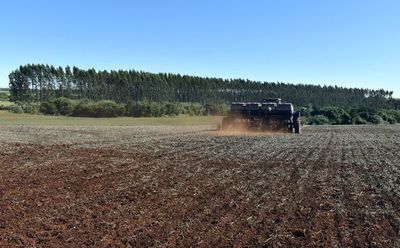 Chaparrones aislados no satisfacen expectativas del agro - Nacionales - ABC Color