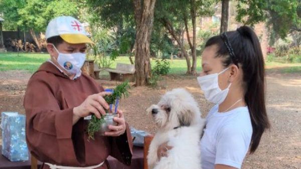 Bendecirán mascotas por el día de San Francisco de Asís