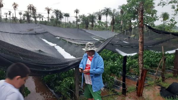 Granizada afectó a viviendas y cultivos en Carapeguá - Nacionales - ABC Color