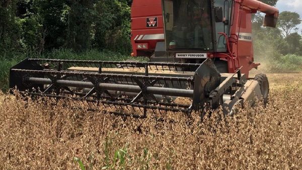 La lluvia acrecienta el  optimismo de los productores en Itapúa