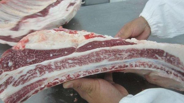 EEUU inspeccionará producción de carne en Paraguay