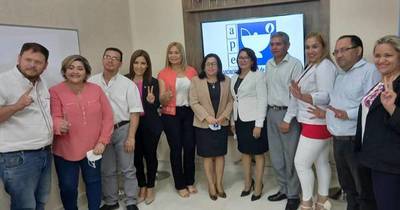 La Nación / Enfermeras y enfermeros se candidatan a concejalías y debaten proyectos
