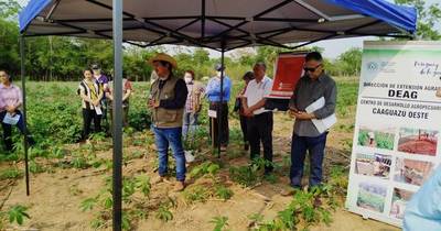 La Nación / Productores de Caaguazú recibieron asistencia técnica del MAG