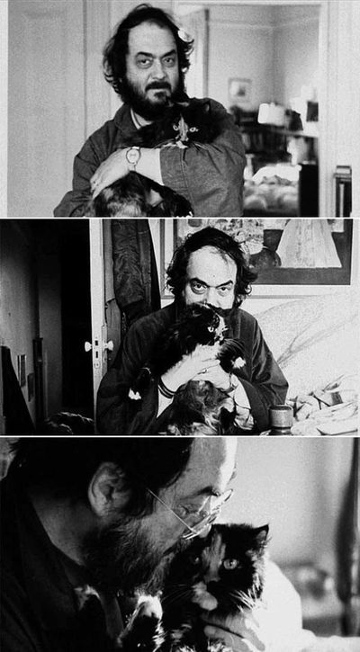 Stanley Kubrick, maullidos en la intimidad - Cultural - ABC Color