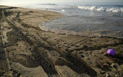 Advierten de posible desastre natural en sur de California tras fuga de crudo - Mundo - ABC Color