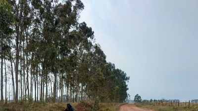 Asesinan a dos paraguayos en Ponta Porá