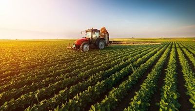 Expertos nacionales e internacionales debatirán en el III Congreso Internacional de Agronegocios