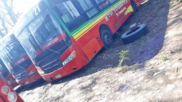 Quiebra de líneas de transporte en pandemia golpea a pasajeros