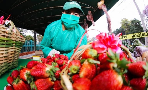 Diario HOY | Mujeres emprendedoras recibirán capital semilla para invertir