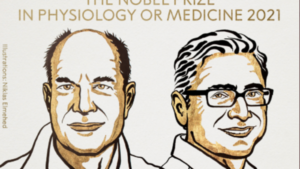 Nobel de Medicina para Patapoutian y Julius por hallazgos sobre el tacto