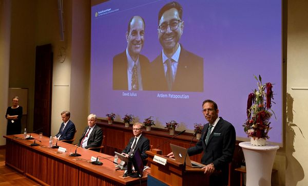 David Julius y Ardem Patapoutian son los ganadores del premio Nobel de Medicina - Megacadena — Últimas Noticias de Paraguay