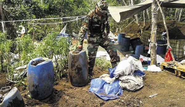 Narcos dejan su campamento con 320 kilos de cocaína en Bolivia