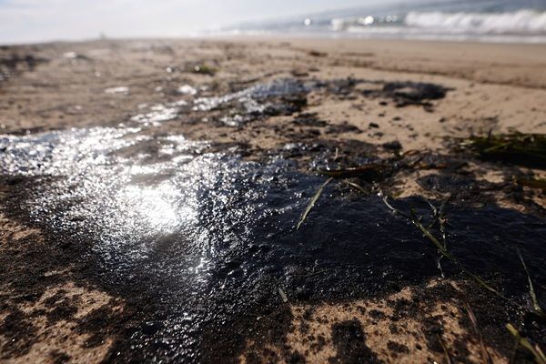 Un derrame de petróleo en California provoca un desastre ecológico "irreversible" - Megacadena — Últimas Noticias de Paraguay