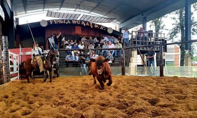 Ferusa vendió toros de Primavera 43 a Gs. 21.172.000 de promedio