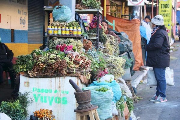 Crónica / COMBATE AL KA’U KO’Ê. En vez de “anticovid” compra “yorador”