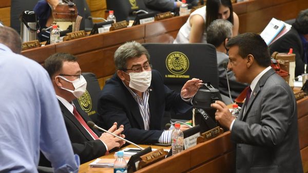 Abdista pide aumento de pena a evasores y no a las invasiones