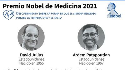 Nobel de Medicina  por receptores de temperatura y tacto