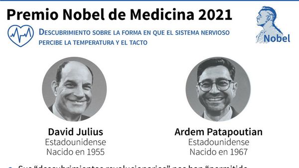 Nobel de Medicina por receptores de temperatura y tacto