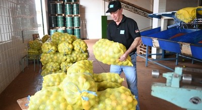 Establecimiento agroecológico produce alimentos saludables en la Reserva de Biósfera ITAIPU
