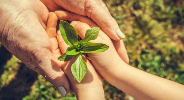 La pandemia agudizó el sentido de responsabilidad ambiental y social de los consumidores