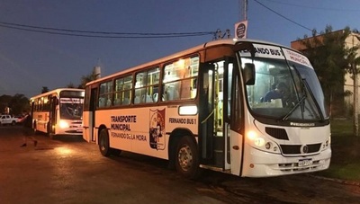 Buses gratuitos cubrirán itinerario de Línea 21 en Fernando