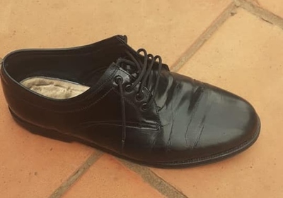 Buscan a "Ceniciento" que perdió un zapato en la calle