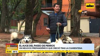 Pasear perros, una actividad que creció en pandemia - Nacionales - ABC Color
