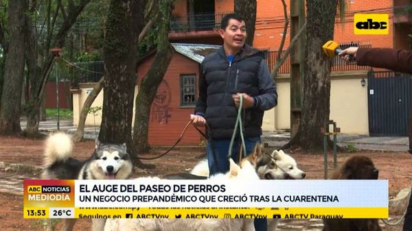 Pasear perros, una actividad que creció en pandemia - Nacionales - ABC Color