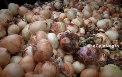 Productores de cebolla están cansados del contrabando