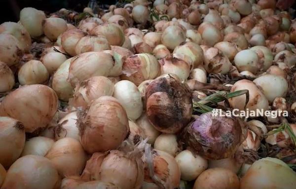 Productores de cebolla están cansados del contrabando