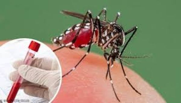 Aumentan las notificaciones de dengue en tres regiones sanitarias