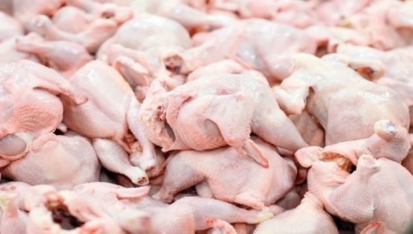 Crecen ingresos por exportación de carne de pollo (Rusia y Angola, los principales destinos)