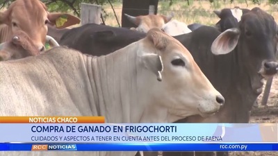 Compra de ganado en Frigochorti