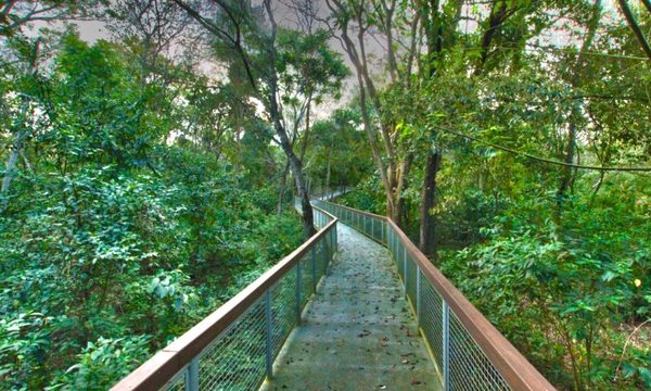 Nuevas obras del Refugio Biológico Mbaracayú de ITAIPU se erigieron con criterios de diseño sostenible