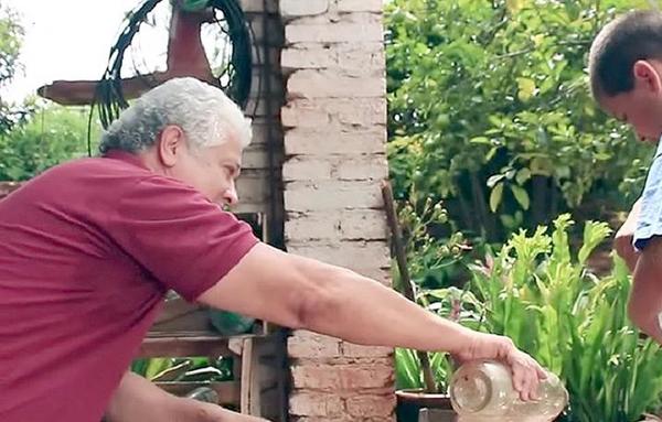 Asunción, Alto Paraná y Paraguarí: aumentan casos de dengue