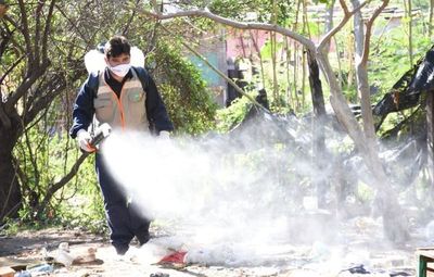 Esperanzador estudio de un tratamiento contra el dengue  - Mundo - ABC Color