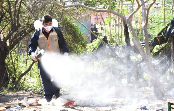 Esperanzador estudio de un tratamiento contra el dengue - Mundo - ABC Color